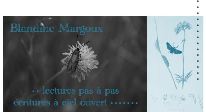 Plumes &amp; Plumes • Atelier d'écriture créative