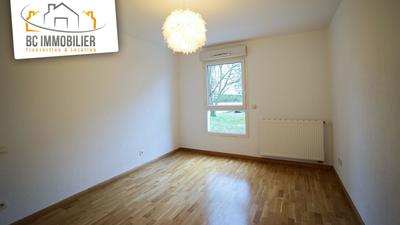 Appartement - 55 m² - 2 pièces