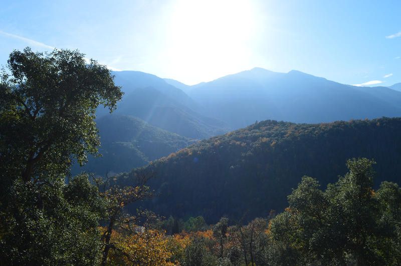 Terrain - 18 305 m²