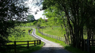 Maison - 310 m² - 7 pièces