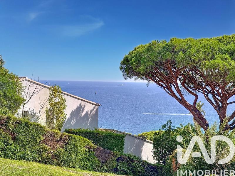 Studio - 20 m² - 1 pièce