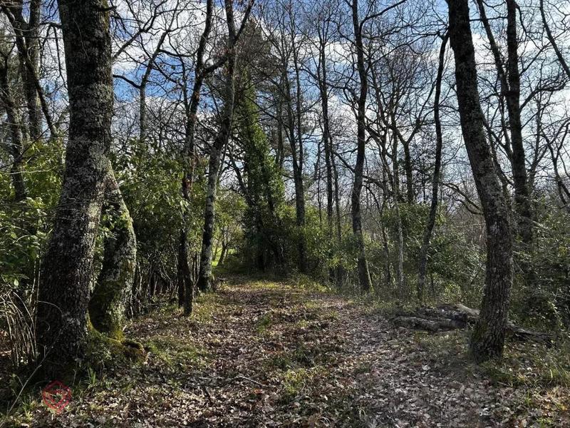 Maison de campagne - 347 m² - 8 pièces