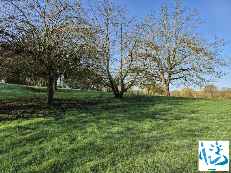 Maison ancienne - 100 m² - 5 pièces