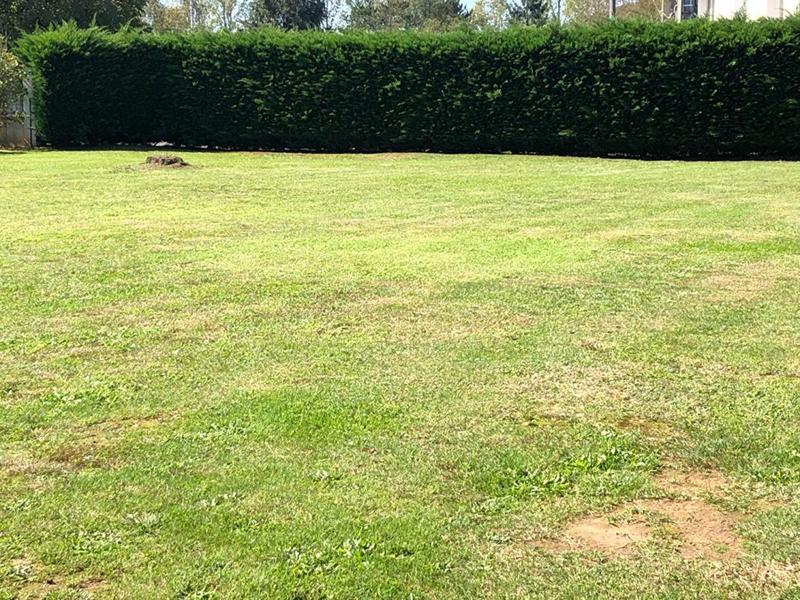 Terrain constructible - 1 052 m²