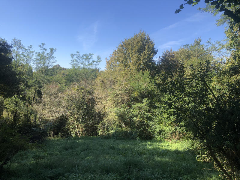 Maison de village - 60 m² - 4 pièces