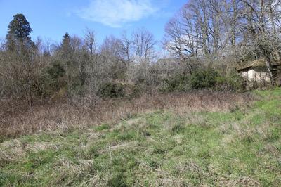 Maison - 120 m² - 3 pièces