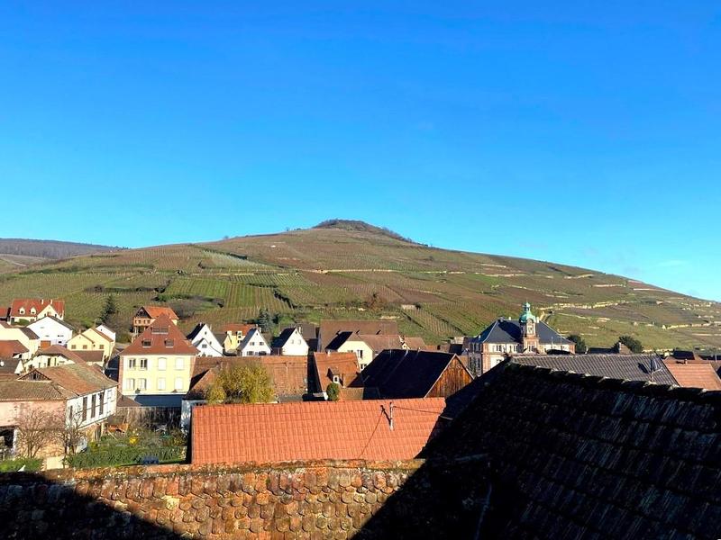 Duplex - 44 m² - 3 pièces