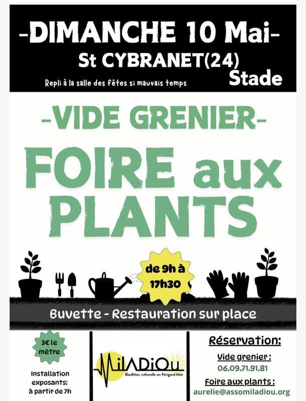Foire aux plants et vide grenier