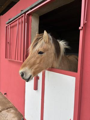 Les Ecuries du Dropt