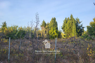 Terrain agricole - 3 300 m²