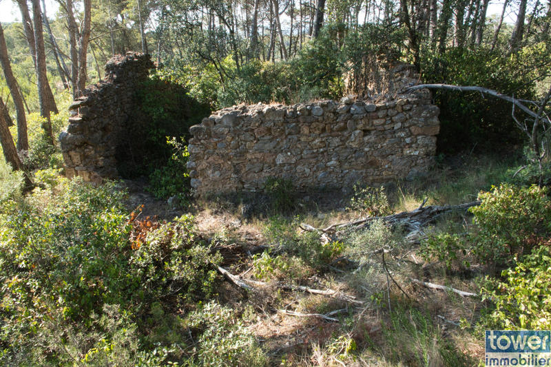 Terrain de loisirs - 42 302 m²