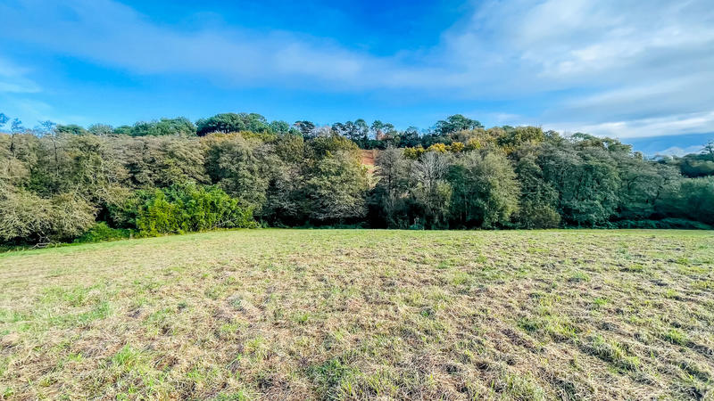 Terrain - 38 394 m²