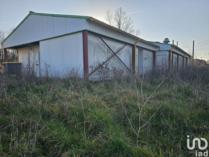 Local commercial - 300 m²