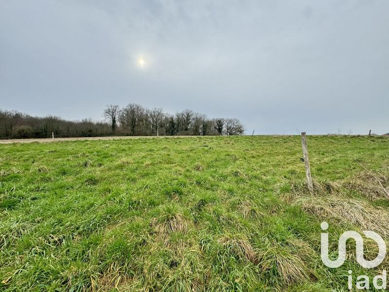 Maison - 250 m² - 1 pièce