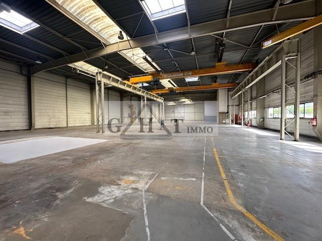 Entrepôt - 2 816 m²