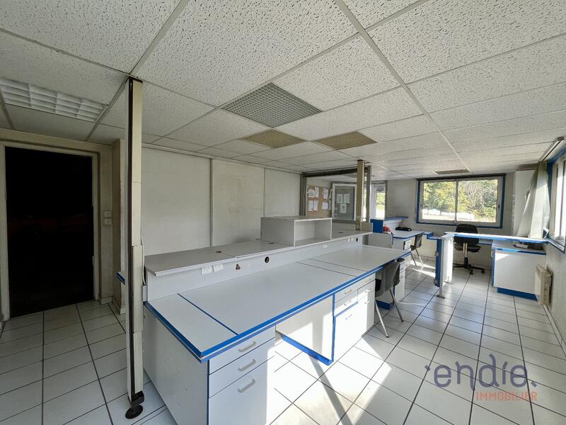 Entrepôt - 529 m² - 7 pièces