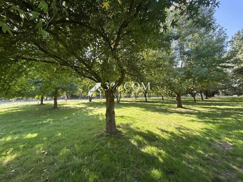 Maison - 128 m² - 7 pièces