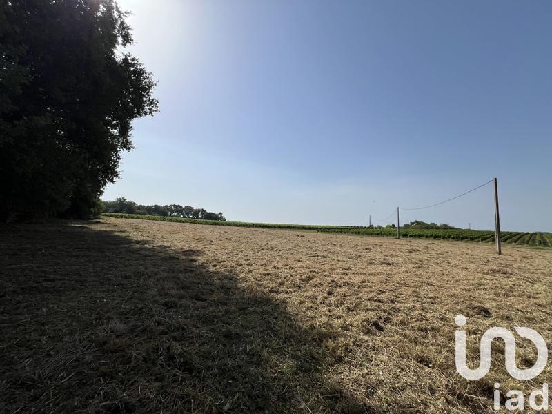 Terrain - 11 204 m²