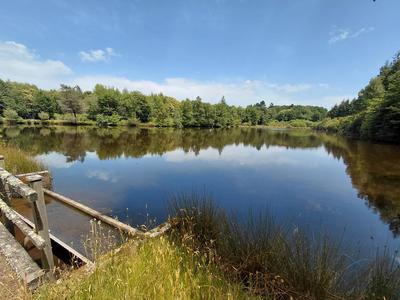 Terrain agricole - 26 557 m²