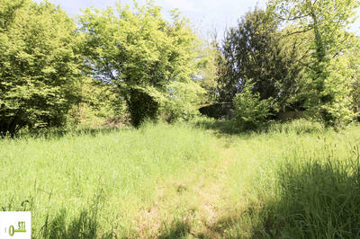 Terrain - 2 155 m²