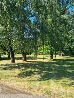 Propriété - 316 m² - 9 pièces