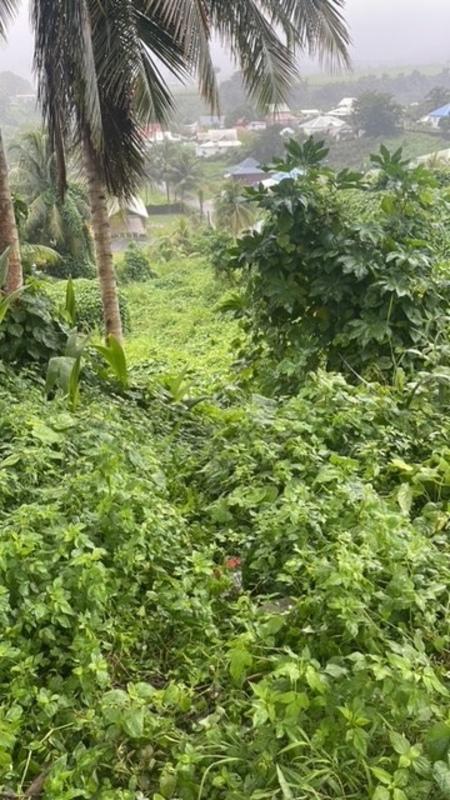 Terrain constructible - 688 m²