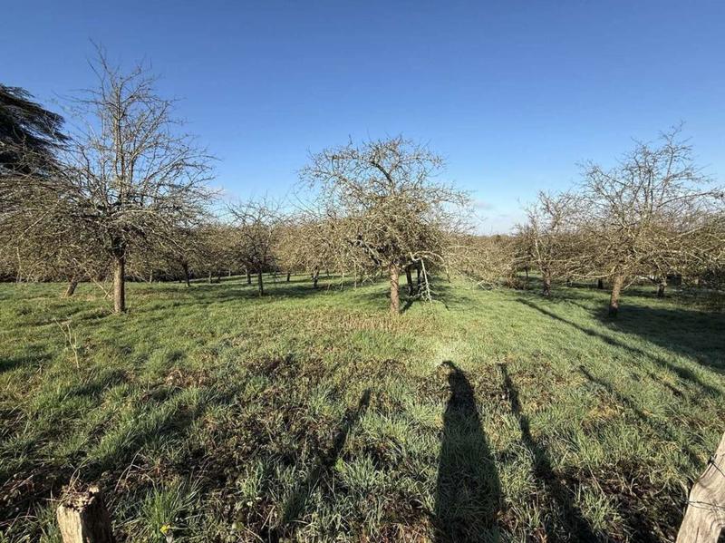 Maison de campagne - 99 m² - 6 pièces