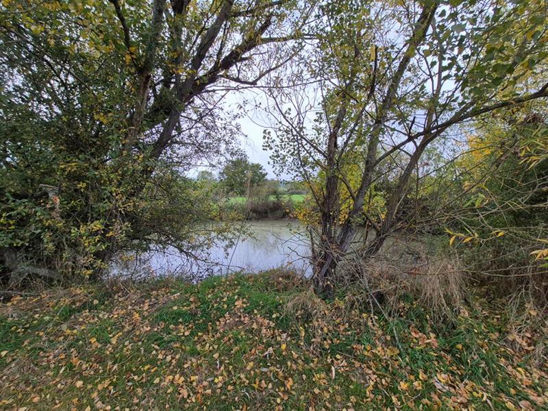 Maison - 143 m² - 5 pièces