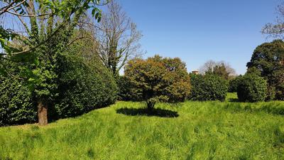 Terrain constructible - 340 m²