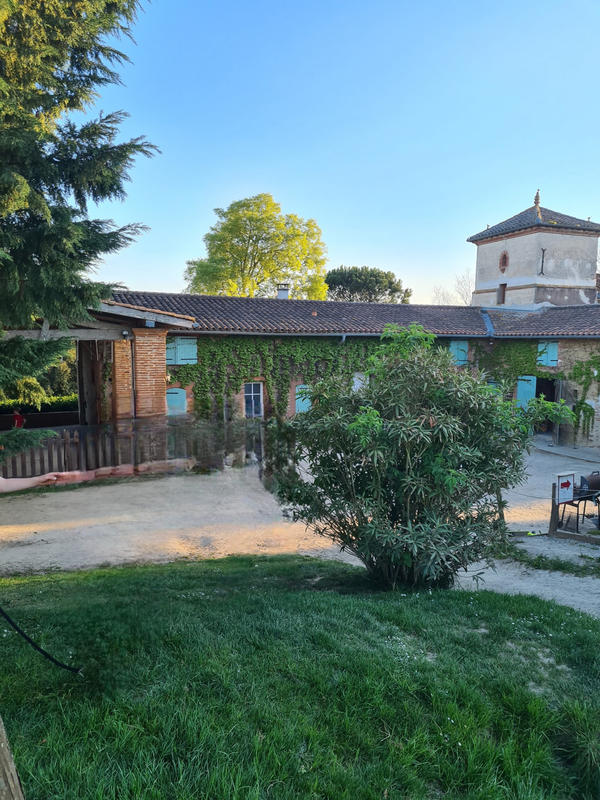 Fonds de commerce - Magasins - 62 459 m²