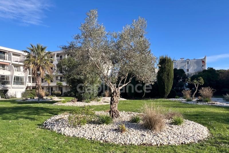 Appartement - 36 m² - 2 pièces