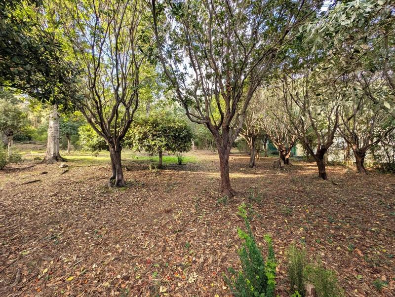 Propriété - 219 m² - 7 pièces