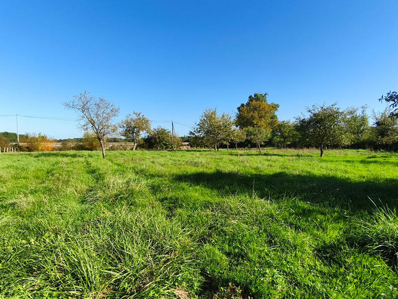 Maison - 154 m² - 5 pièces