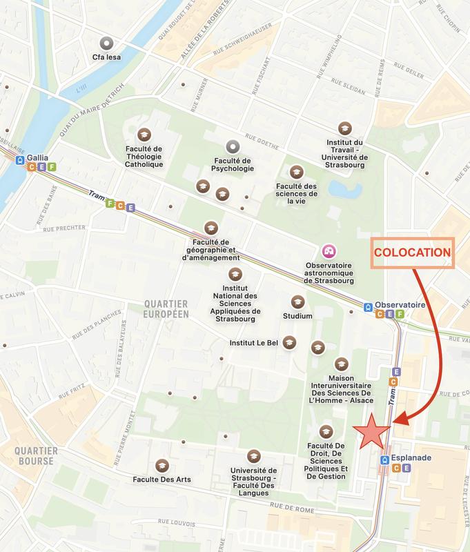 Appartement - 71 m² - 1 pièce