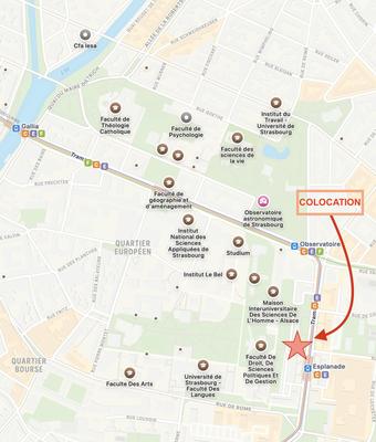 Appartement - 71 m² - 1 pièce