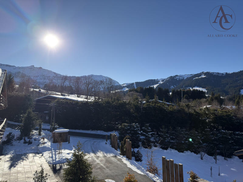 Châlet - 320 m² - 9 pièces