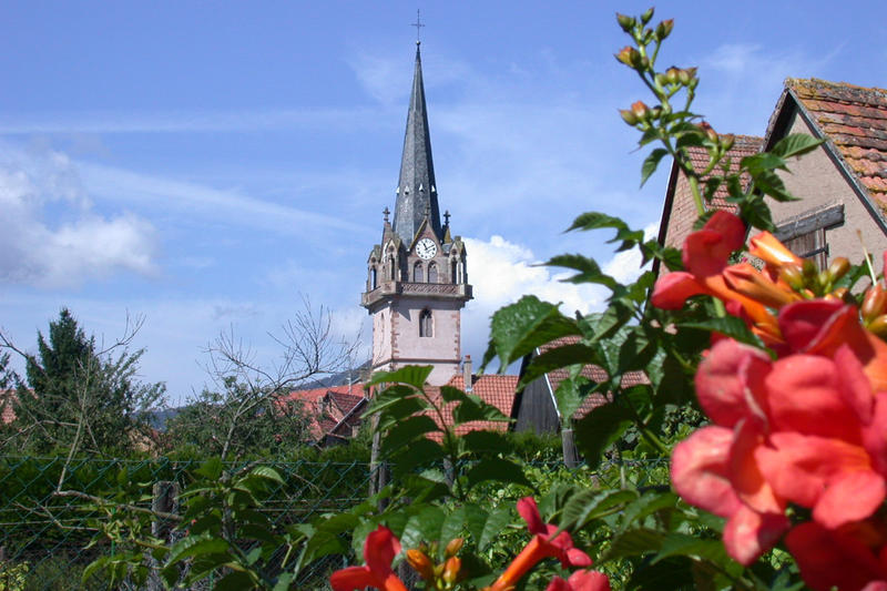 Bernardswiller - un village vigneron Réf 09