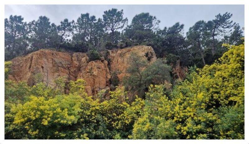 Appartement - 126 m² - 4 pièces