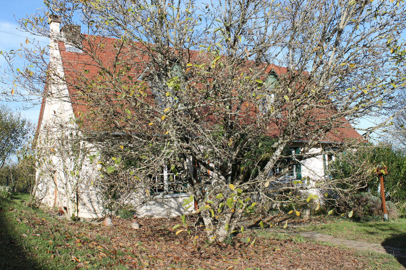 Maison ancienne - 105 m² - 5 pièces