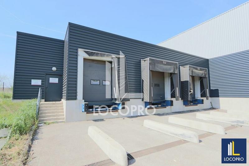 Local d'activité / Entrepôt - 4 800 m²