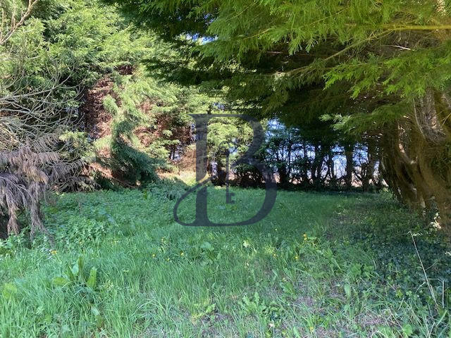 Maison ancienne - 150 m² - 4 pièces