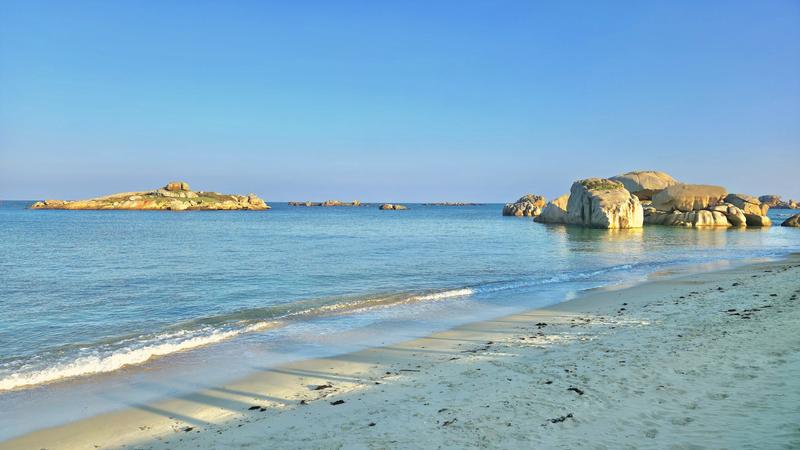 Appartement - 101 m² - 4 pièces