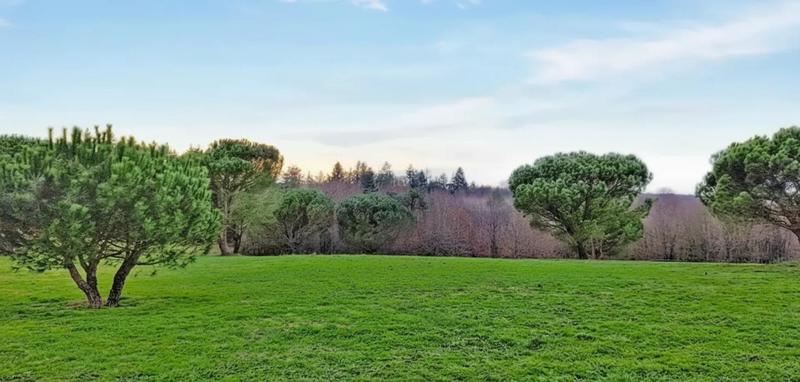 Maison - 377 m² - 7 pièces