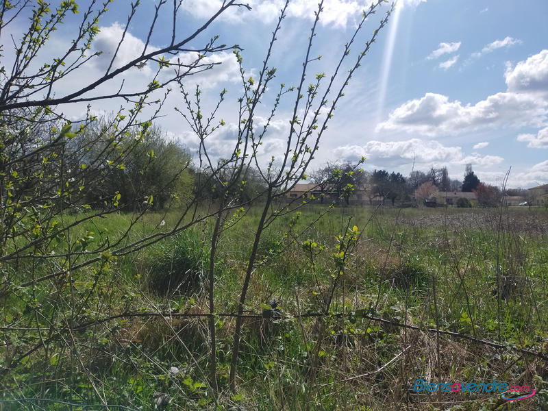 Terrain - 10 679 m²