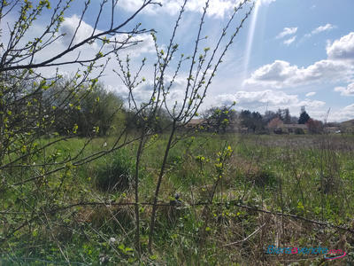 Terrain - 10 679 m²