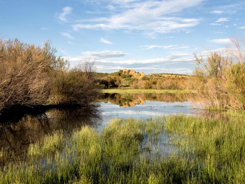 Journée mondiale des zones humides
