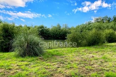 Terrain de loisirs - 8 400 m²