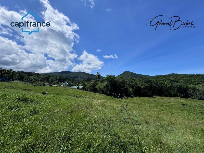 Terrain - 23 960 m²