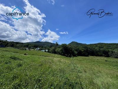 Terrain - 23 960 m²
