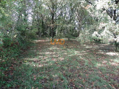 Terrain constructible - 1 710 m²